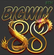BIGWIN88 dan btn: Rangkuman Brand yang Banyak Dicari